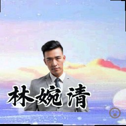 林婉清